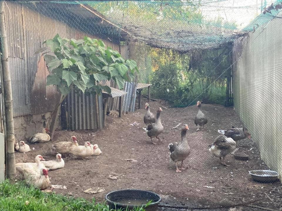 Ataalaya Farmhouse Batangas Exteriér fotografie