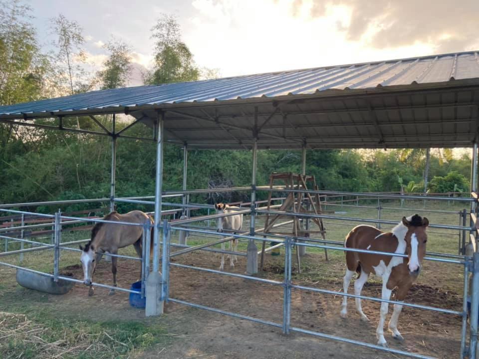 Ataalaya Farmhouse Batangas Exteriér fotografie