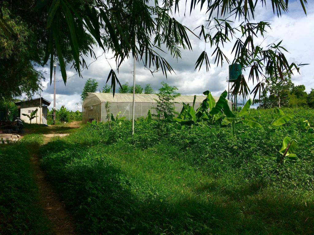Ataalaya Farmhouse Batangas Exteriér fotografie